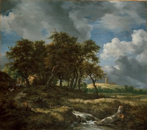 Paisaje cerca de Muiderberg, principios de 1650 de Jacob van Ruisdael