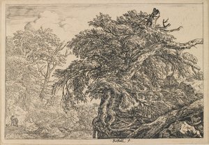  de Jacob van Ruisdael