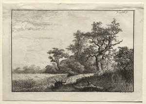 The Wheat Field de Jacob van Ruisdael