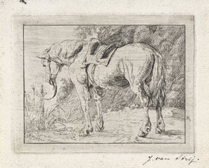 Caballo ensillado atado a un poste de Jacob van Strij