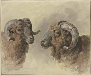 Dos ovejas de Jacob van Strij