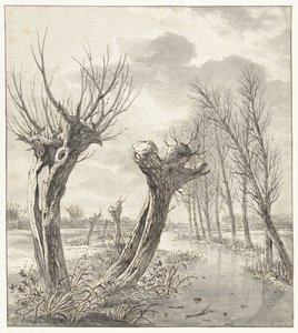 Paisaje invernal con sauces desmochados a lo largo de una zanja congelada