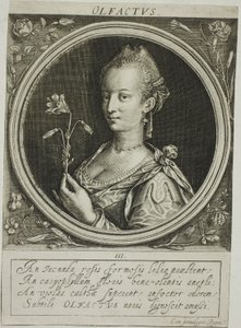 Olfato, plato tres de Los cinco sentidos de Jacob van der Heyden