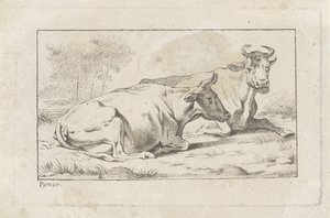 Dos vacas mentirosas