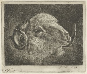 Cabeza de carnero con cuernos hacia atrás de Jacobus Cornelis Gaal (signed by artist)