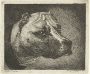 cabeza de perro con collar de Jacobus Cornelis Gaal