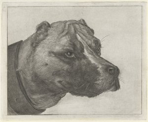 cabeza de perro con collar de Jacobus Cornelis Gaal