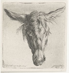 cabeza de burro