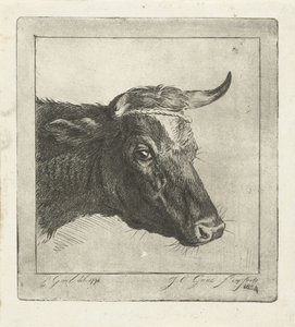 Cabeza de vaca con cuerda alrededor de los cuernos de Jacobus Cornelis Gaal