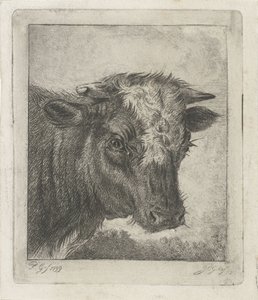 Cabeza de vaca con col blanca de Jacobus Cornelis Gaal