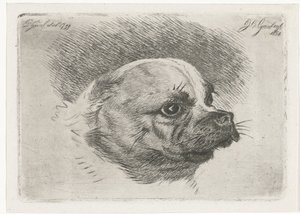 cabeza de pug de Jacobus Cornelis Gaal