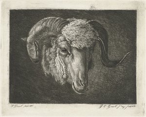 Cabeza de carnero con cuernos torcidos de Jacobus Cornelis Gaal