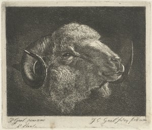 Cabeza de carnero con cuernos hacia atrás de Jacobus Cornelis Gaal