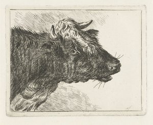 Buey rugiente de Jacobus Cornelis Gaal