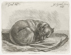 Perro durmiendo, acostado sobre una manta de Jacobus Cornelis Gaal
