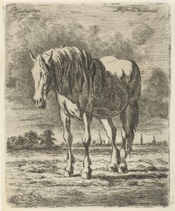 Caballo blanco de pie de Jacobus Cornelis Gaal