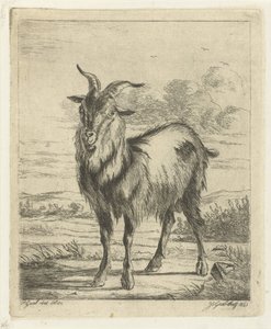 cabra de pie de Jacobus Cornelis Gaal