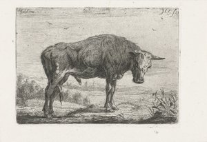 toro de pie