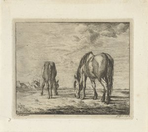 Dos caballos pastando de Jacobus Cornelis Gaal