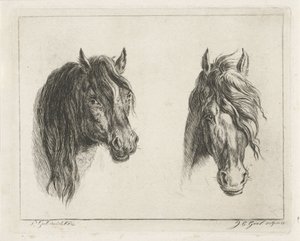 dos cabezas de caballo