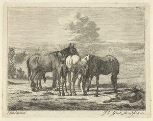 Cuatro caballos y dos potros