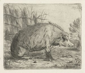 Jabalí sentado de Jacobus Cornelis Gaal