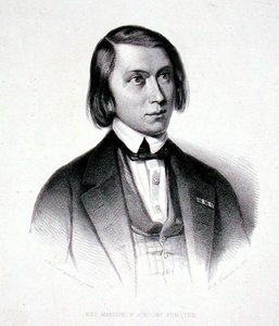 Retrato de Josephus Hermanus Verhulst (1816-91) (grabado) de Jacobus Everardus Josephus van den (after) Berg