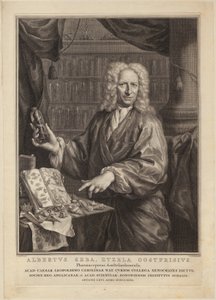  de Jacobus Houbraken