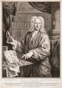  de Jacobus Houbraken