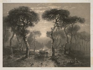 Obras de A. Calame, nº 13: Bosque de Sierre en Valais de Jacomme and Cie. R. de Lancry, 12, Paris