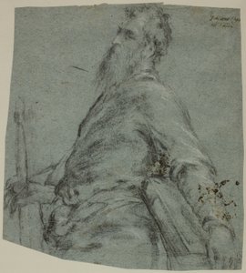 Estudio de medio cuerpo para San Pablo de Jacopo Bassano