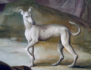 Perro (detalle) de Jacopo Guarana