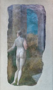 Venus, c.1566-68 (óleo sobre yeso transferido a lienzo) de Jacopo Ianguidi Bertoia