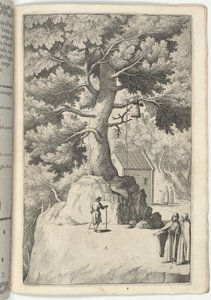 Árbol de haya con la campana (Faggio della campana) [lámina X]