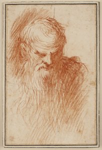 Cabeza de un hombre con barba de Jacopo Palma