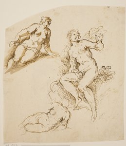 Estudios para una mujer sentada y dos mujeres postradas de Jacopo Palma