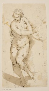 Desnudo femenino caminando de Jacopo Palma
