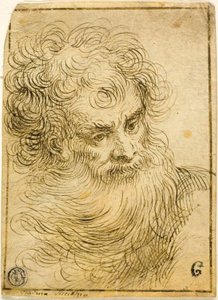 Cabeza de Anciano Barbudo (recto); Boceto Decorativo de Flor y Hojas (verso) de Jacopo Palma il Giovane