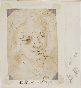 Cabeza de un Hombre de Jacopo Palma il Giovane