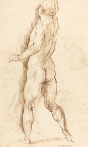 Hombre desnudo visto desde atrás [verso]