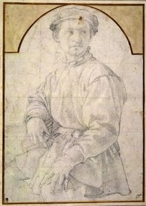 Un joven sentado con una gorra de Jacopo Pontormo