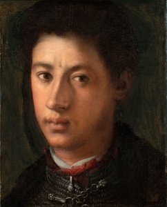 Retrato de Alessandro de Medici 1510-1537, 1534-1535 de Jacopo Pontormo