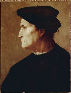 Retrato de perfil de Francesco da Castiglione de Jacopo Pontormo