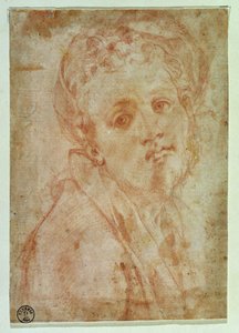 Autorretrato de Jacopo Pontormo