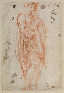 Estudio para San Jerónimo de Jacopo Pontormo