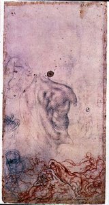 Estudio para un retrato de Cosimo I Giovinetto con otros estudios de cuerpos retorcidos de Jacopo Pontormo