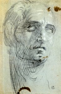 Cabeza masculina de Jacopo Robusti Tintoretto