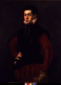 Retrato de un joven, c.1565 de Jacopo Robusti Tintoretto