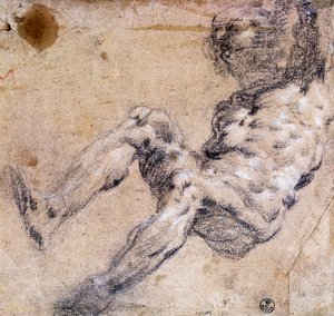 Estudio de desnudo masculino