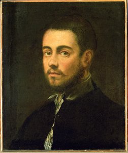 Joven con barba ... (óleo sobre lienzo) de Jacopo Robusti Tintoretto